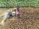 Hendron, Wild Bioscience: "Con nuove tecniche genomiche svolta storica per l’agricoltura europea"
