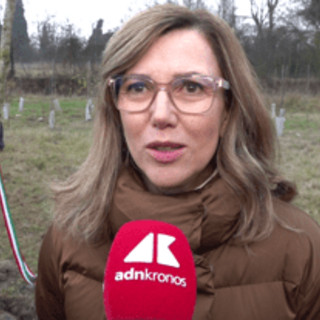 KilometroVerdeParma, piantato il 100.000° albero