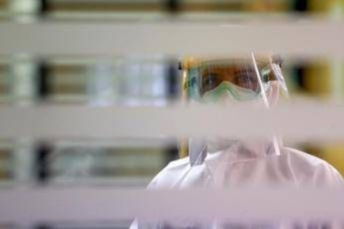 Covid, torna a crescere il virus in Europa? L'esperto: "Attenzione alla nuova PJ.2.1, è l'osservata speciale" Covid, torna a crescere il virus in Europa? L'esperto: "Attenzione alla nuova PJ.2.1, è l'osservata speciale"