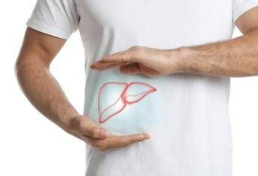 Steatosi epatica, studio dimostra efficacia nutraceutico con alghe brune