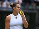 Wimbledon 2025: da Alcaraz e Sabalenka agli italiani, i match di oggi - La diretta