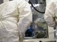 Ebola, la conferma di un focolaio in Congo: "246 casi sospetti e 65 morti" Ebola, la conferma di un focolaio in Congo: "246 casi sospetti e 65 morti"