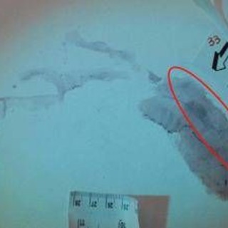 Caso Garlasco, procura mette la parola fine su impronta 33: non c'è sangue