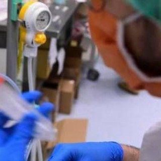 Batterio mangiacarne, l'allarme dell'agenzia Usa Cdc: &quot;Fino a 200 casi l'anno, 1 su 5 mortale&quot;