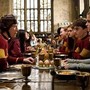 Harry Potter, la protesta dei fan: spostato il cavo sottomarino per la 'tomba' di Dobby Harry Potter, la protesta dei fan: spostato il cavo sottomarino per la 'tomba' di Dobby