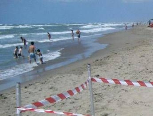 Moria di pesci a Torvajanica e Ardea, controlli ﻿sul litorale