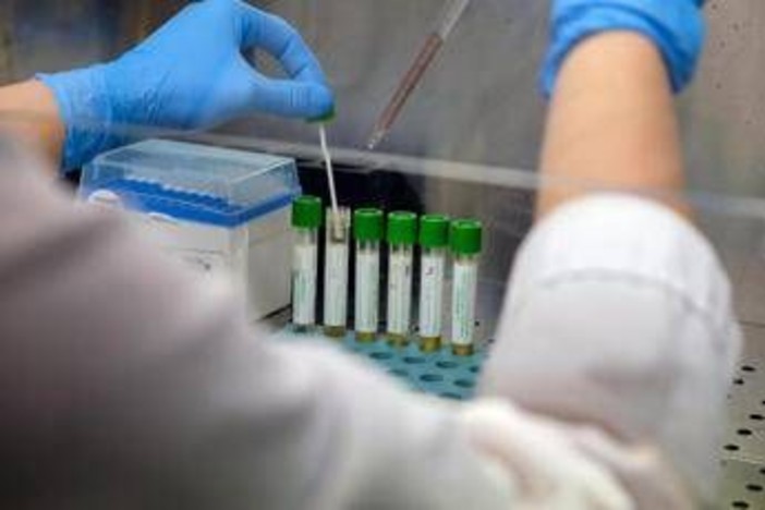 Mers, 9 casi con due morti in Arabia Saudita. Oms: &quot;Rischio moderato&quot;