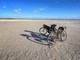 Shardana bikeventure, l'edizione dei record del 2026 si candida all'Oscar del cicloturismo