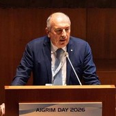 Orlandi (Aigrim-Fipe): "40% forza lavoro è under 30, il problema è trattenerli"