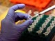 Tumori, in Regione Lombardia 5 proposte per innovare gestione patologie ematologiche