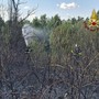 Roma, da via Pineta Sacchetti a Cinecittà: diversi incendi nella Capitale e dintorni Roma, da via Pineta Sacchetti a Cinecittà: diversi incendi nella Capitale e dintorni