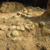 In Francia trovate oltre 100 uova di dinosauro, hanno 72 milioni di anni In Francia trovate oltre 100 uova di dinosauro, hanno 72 milioni di anni