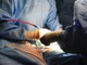 Operata al femore a 104 anni, già in piedi il giorno successivo all'intervento