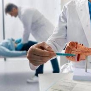 Tumore pancreas, team Aoui Verona e San Raffaele Milano vincono bando Fondazione Veronesi-Ficog