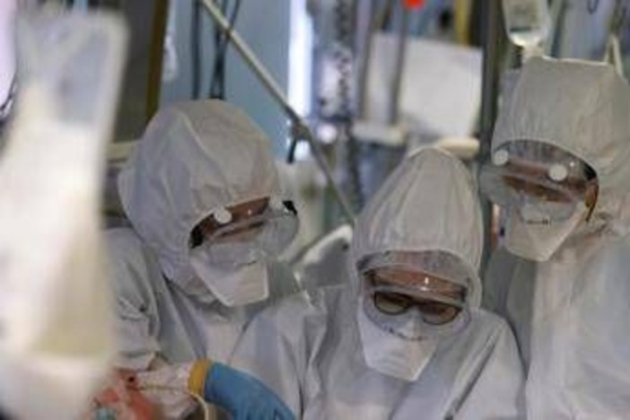 Virus Shamonda, "no casi umani in Italia, attenzione rafforzata": la circolare del ministero dell a Salute