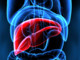 Mash, esperti a confronto su importanza diagnosi per patologia epatica sottovalutata Mash, esperti a confronto su importanza diagnosi per patologia epatica sottovalutata