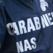 Brescia, neonato circonciso su tavolo da cucina in casa: denunciato cardiologo