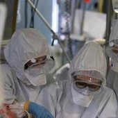 Virus Shamonda, "no casi umani in Italia, attenzione rafforzata": la circolare del ministero dell a Salute