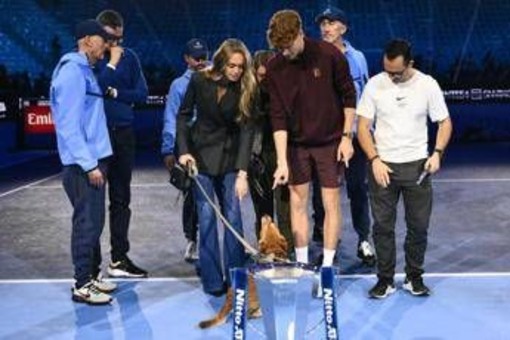 Sinner, la famiglia si... 'allarga'. Anche il cane Snoopy festeggia il trionfo alle Atp Finals Sinner, la famiglia si... 'allarga'. Anche il cane Snoopy festeggia il trionfo alle Atp Finals