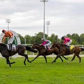 All'Ippodromo Snai San Siro un 2 Giugno di grande sport e intrattenimento