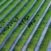Cina, nel Sichuan attivato importante progetto fotovoltaico ad alta quota