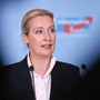Ucraina, Weidel: "Basta soldi a Kiev, la guerra è già persa" Ucraina, Weidel: "Basta soldi a Kiev, la guerra è già persa"