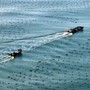 Cina, l’economia marittima segna una crescita costante nel primo semestre Cina, l’economia marittima segna una crescita costante nel primo semestre