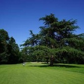 Golf, al via il Buccellati Ladies Italian Open: sul green di Monza le più grandi atlete europee Golf, al via il Buccellati Ladies Italian Open: sul green di Monza le più grandi atlete europee