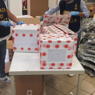 Bologna, sequestrate 500 kg di infiorescenze di canapa. Una denuncia