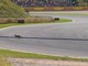 Formula 1, 'invasione di campo' in Olanda. Leclerc: &quot;C'è una volpe in pista&quot;