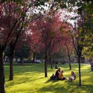 Ultime piogge poi arriva l’estate di San Martino in anticipo: le previsioni meteo Ultime piogge poi arriva l’estate di San Martino in anticipo: le previsioni meteo