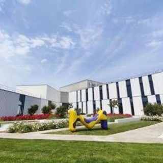 Farmaceutica, Merck: nel sito di Modugno-Bari nuova linea per farmaci iniettabili in siringa Farmaceutica, Merck: nel sito di Modugno-Bari nuova linea per farmaci iniettabili in siringa