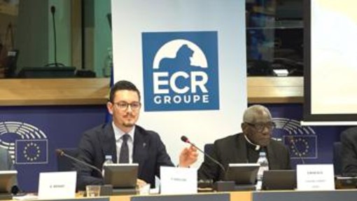 Ue, Inselvini (FdI): "Vogliamo riportare l'Europa alle sue radici cristiane, qui c'è chi le combatte" Ue, Inselvini (FdI): "Vogliamo riportare l'Europa alle sue radici cristiane, qui c'è chi le combatte"