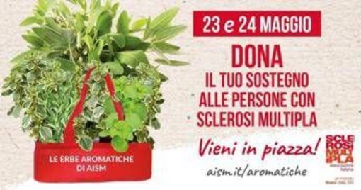 Settimana nazionale della sclerosi multipla, tornano le erbe aromatiche Aism in 500 piazze