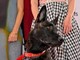 Cannes, il cane Yuri vince la Palm Dog: è la star del film 'La Perra' Cannes, il cane Yuri vince la Palm Dog: è la star del film 'La Perra'
