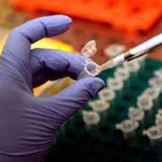 Tumori, in Regione Lombardia 5 proposte per innovare gestione patologie ematologiche