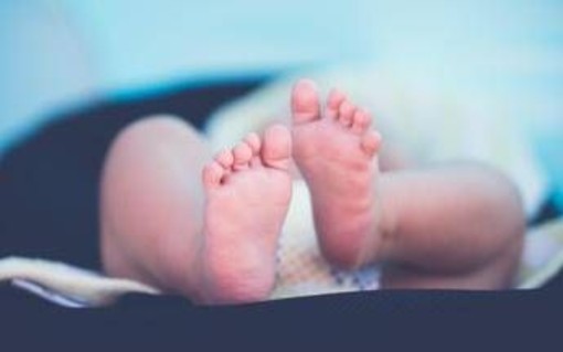 Tre fratelli diventano papà nello stesso giorno, il record Tre fratelli diventano papà nello stesso giorno, il record