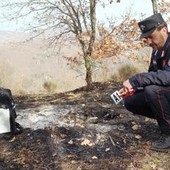 Incendi, Carabinieri Forestali: "98% causati dall'uomo, in primi 6 mesi 3800 ettari bruciati"