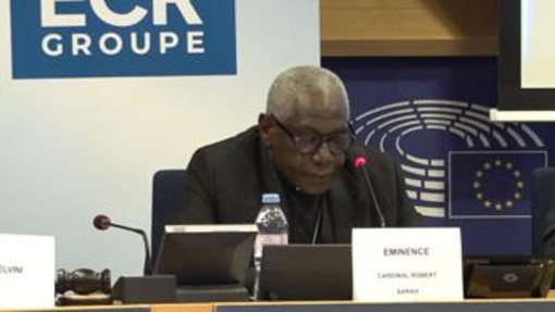 Ue, card. Sarah: "No a colonizzazione ideologica Africa, ma sussidiarietà autentica" Ue, card. Sarah: "No a colonizzazione ideologica Africa, ma sussidiarietà autentica"