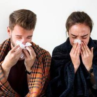 Raffreddore alla moviola, ecco che succede nel naso quando il rinovirus attacca