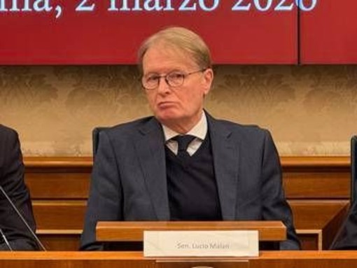 Pro Vita, sen. Malan: "Garantire a tutti libertà di espressione, come insegna Costituzione"